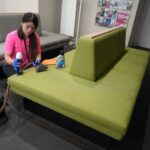 Carpet and furniture cleaner