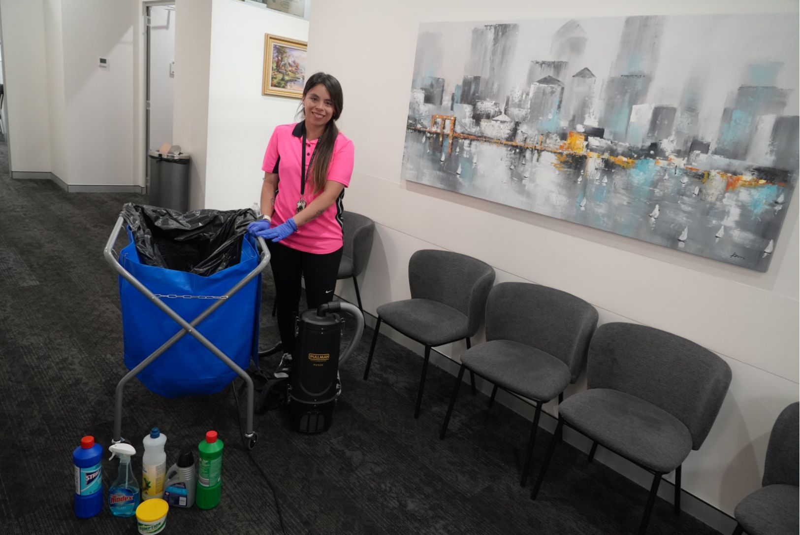 Furniture & Carpet Cleaning